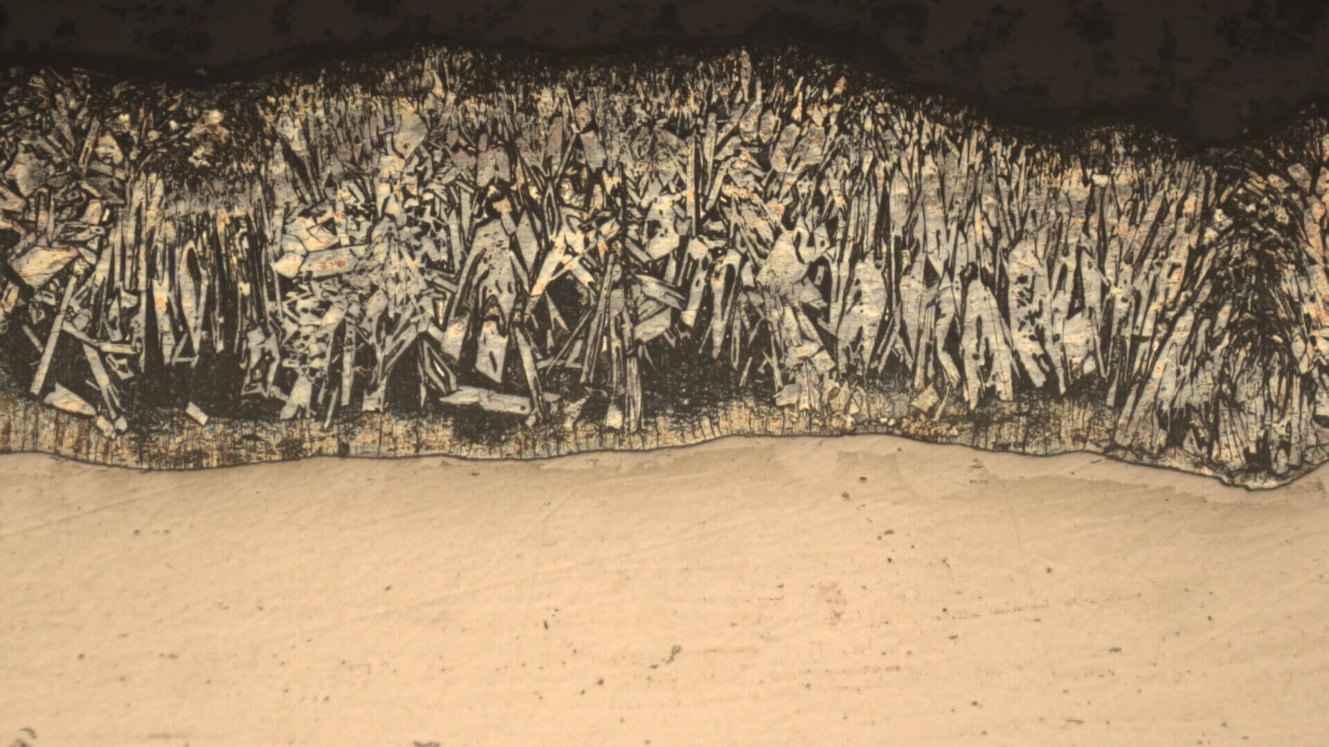 Extended Depth of Focus - EDOF microscope image after