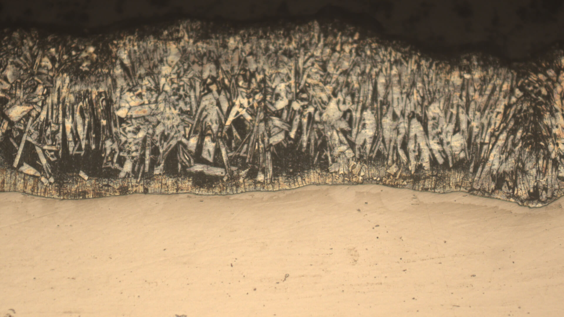 Extended Depth of Focus - EDOF microscope image before