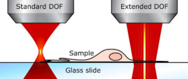 A side-by-side comparison showing a standard microscopic image with a shallow focal plane next to a fully sharp image processed using Extended Depth of Field (EDOF) software.
