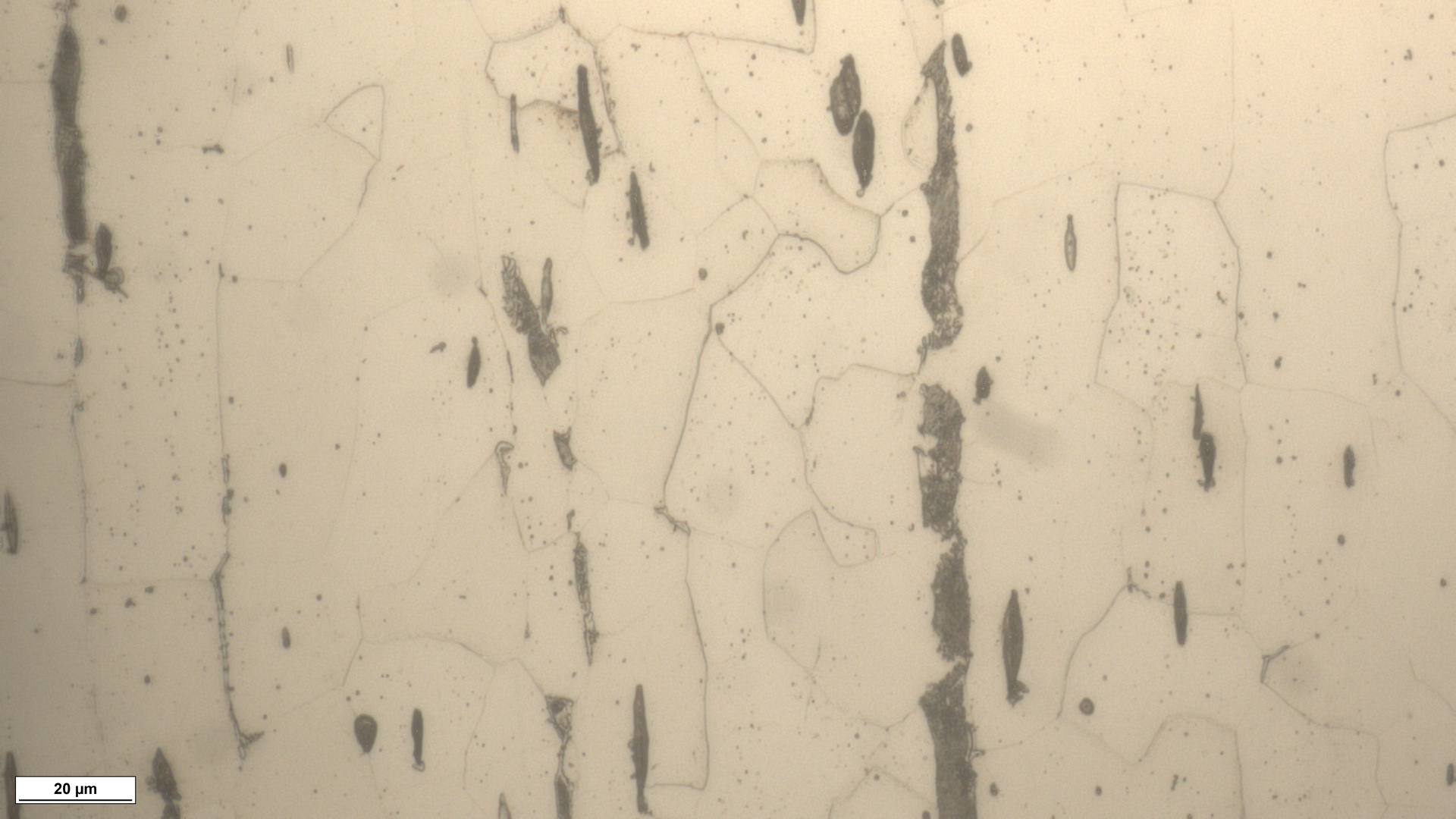 Common Metallographic Sample Preparation Errors & How to Fix Them