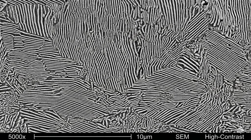 Scanning Electron Microscope (SEM) image of a lamellar pearlite microstructure in high-carbon steel.