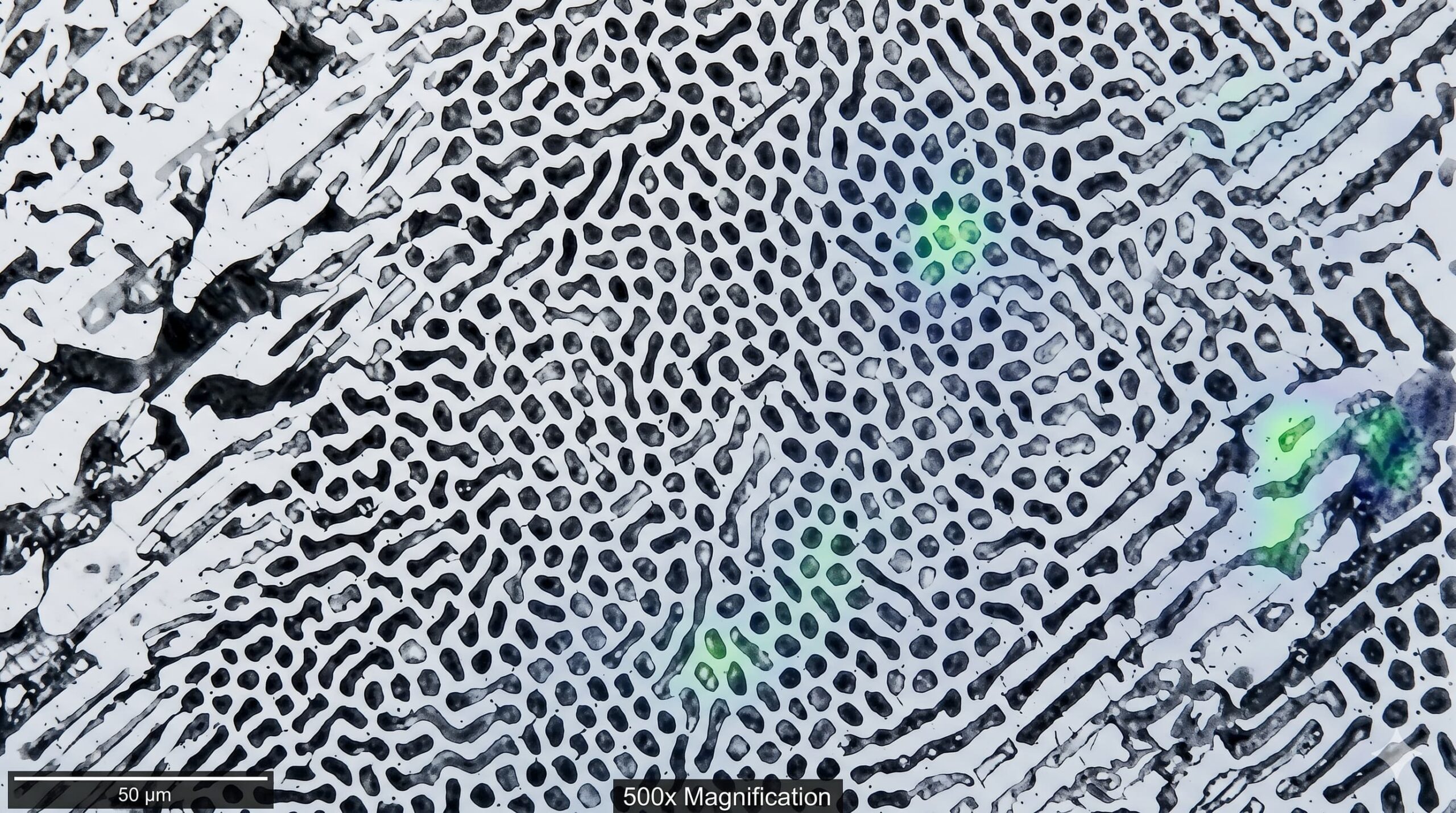 Unlocking the Secrets of White Cast Iron Microstructure: A Metallurgist’s Guide